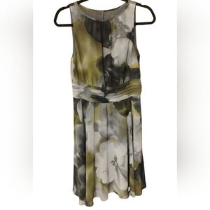Ann Taylor Watercolor Fit & Flare Green, Gray Womens Party dress SZ 8 P